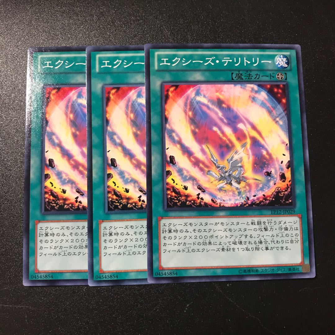 エクシーズ・テリトリー N