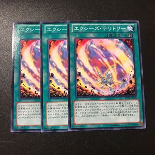 エクシーズ・テリトリー N