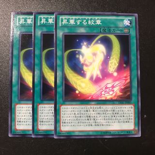 昇華する紋章 N