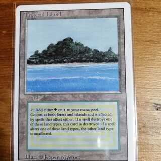 tropical island《英》