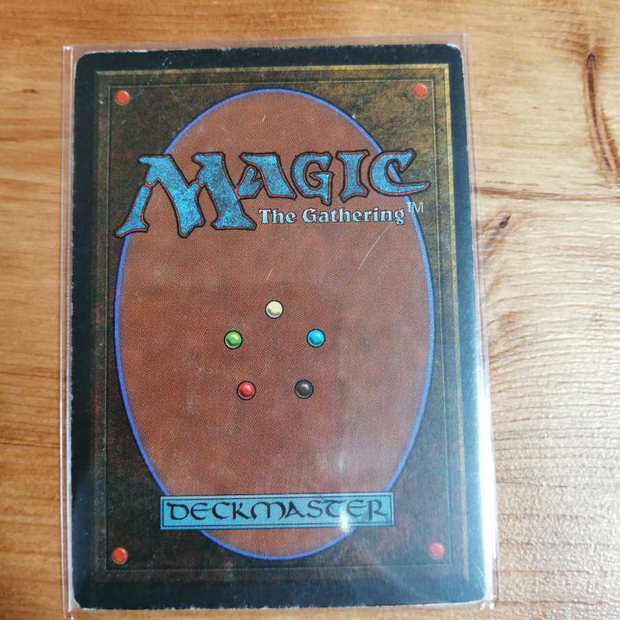 volcanic island《英》