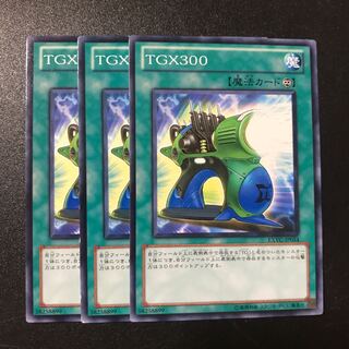 TGX300 N