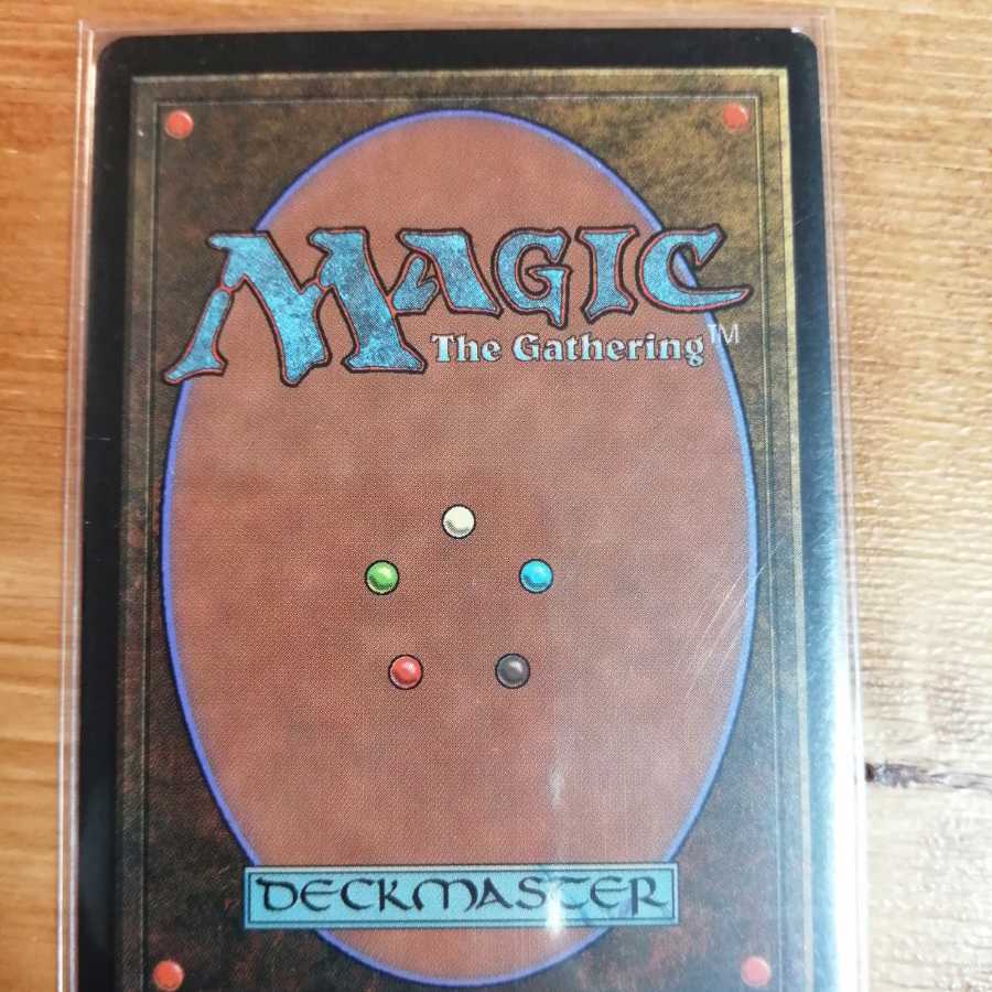 アカデミーの学長《英》