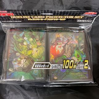 精霊術の使い手