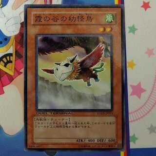 (※白かけあり)霞の谷の幼怪鳥