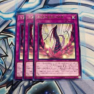 漆黒の薔薇の開華 R