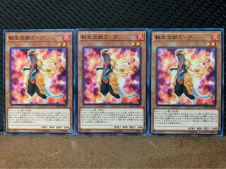 【ぽぽたん】遊戯王 9964 転生炎獣ミーア 3枚 ノーマル