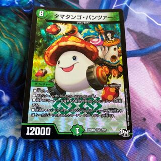 Ta Mushroom Man #2, Panzer