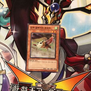 霞の谷の幼怪鳥 遊戯王 韓国版