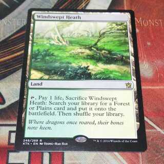 吹きさらしの荒野/Windswept Heath EX](FOIL)吹きさらしの荒野/Windswept Heath《英語》【MH3】