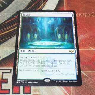 Over 100 exhibits, Breeding Pool, MTG