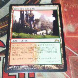 Over 100 exhibits, Stomping Ground, scratches, MTG