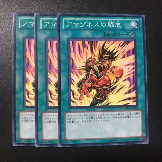 アマゾネスの闘志 N