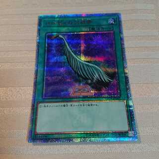 ハーピィの羽根帚 20thSE