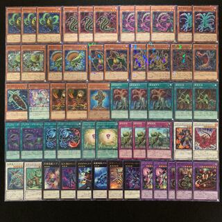 遊戯王 捕食植物デッキ40枚 +EX15枚