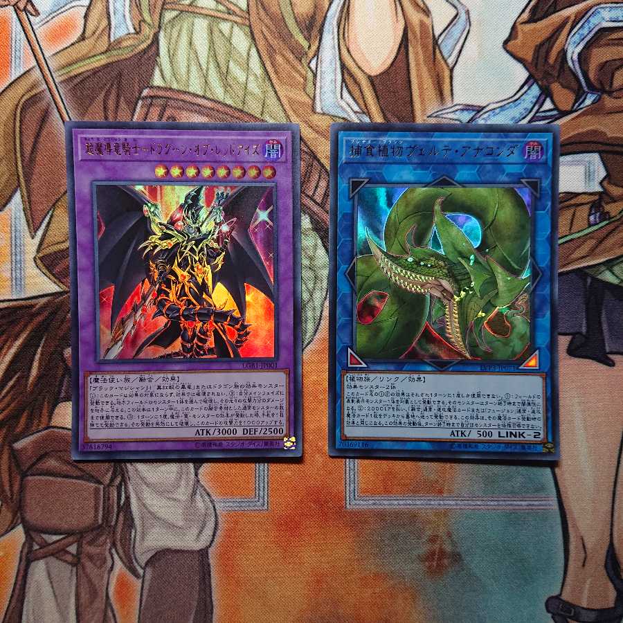 ドラグーンオブレッドアイズ ヴェルテアナコンダ 2枚セット