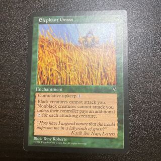 MTG Elephant Grass エレファント・グラス　b