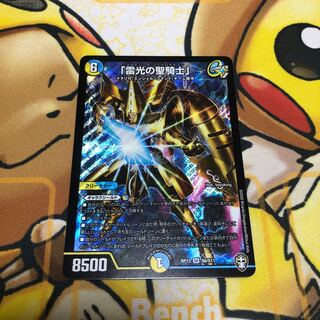 「雷光の聖騎士」