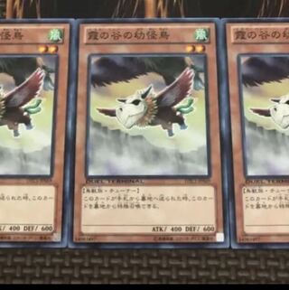 霞の谷の幼怪鳥　シュテン様専用