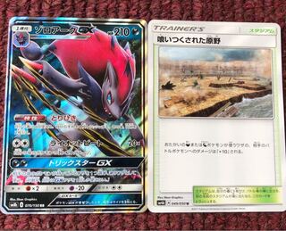 ゾロアークGX 原野セット