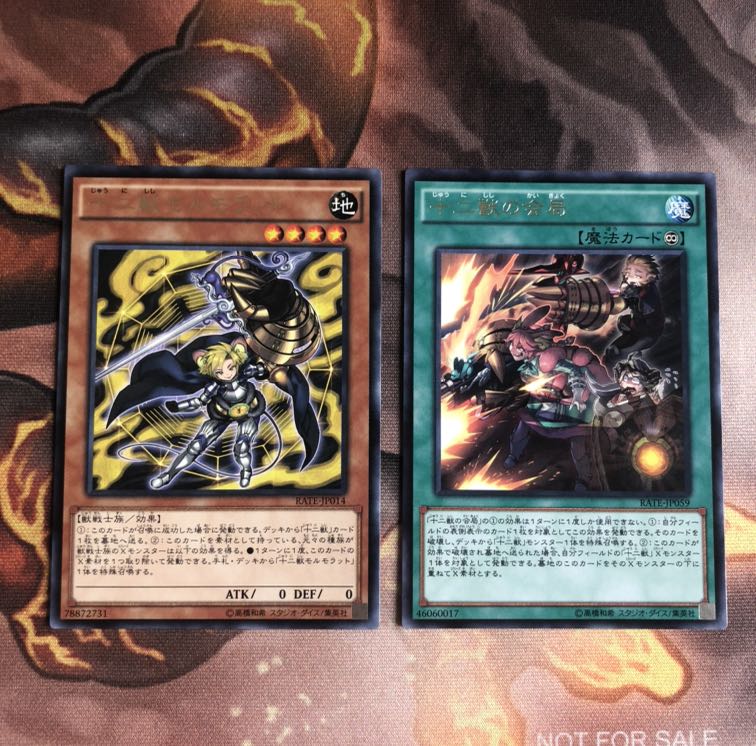 十二獣モルモラット R 十二獣の会局 R