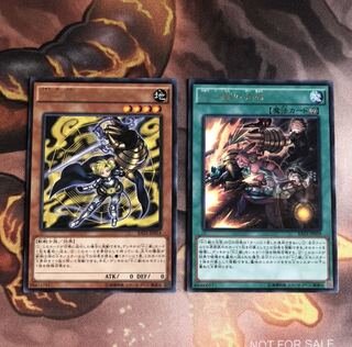 十二獣モルモラット R 十二獣の会局 R