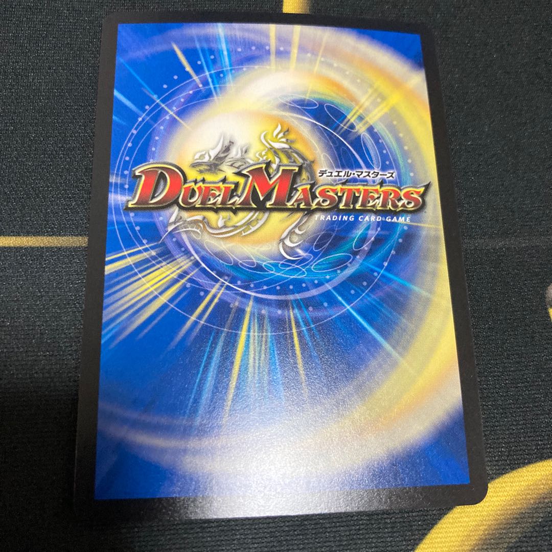 「絶対の楯騎士」