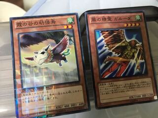 霞の谷の幼怪鳥  DTC 風の精霊ガルーダ