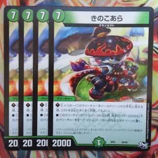 きのこあら 四枚セット