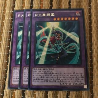 マドレース 月光舞猫姫 R