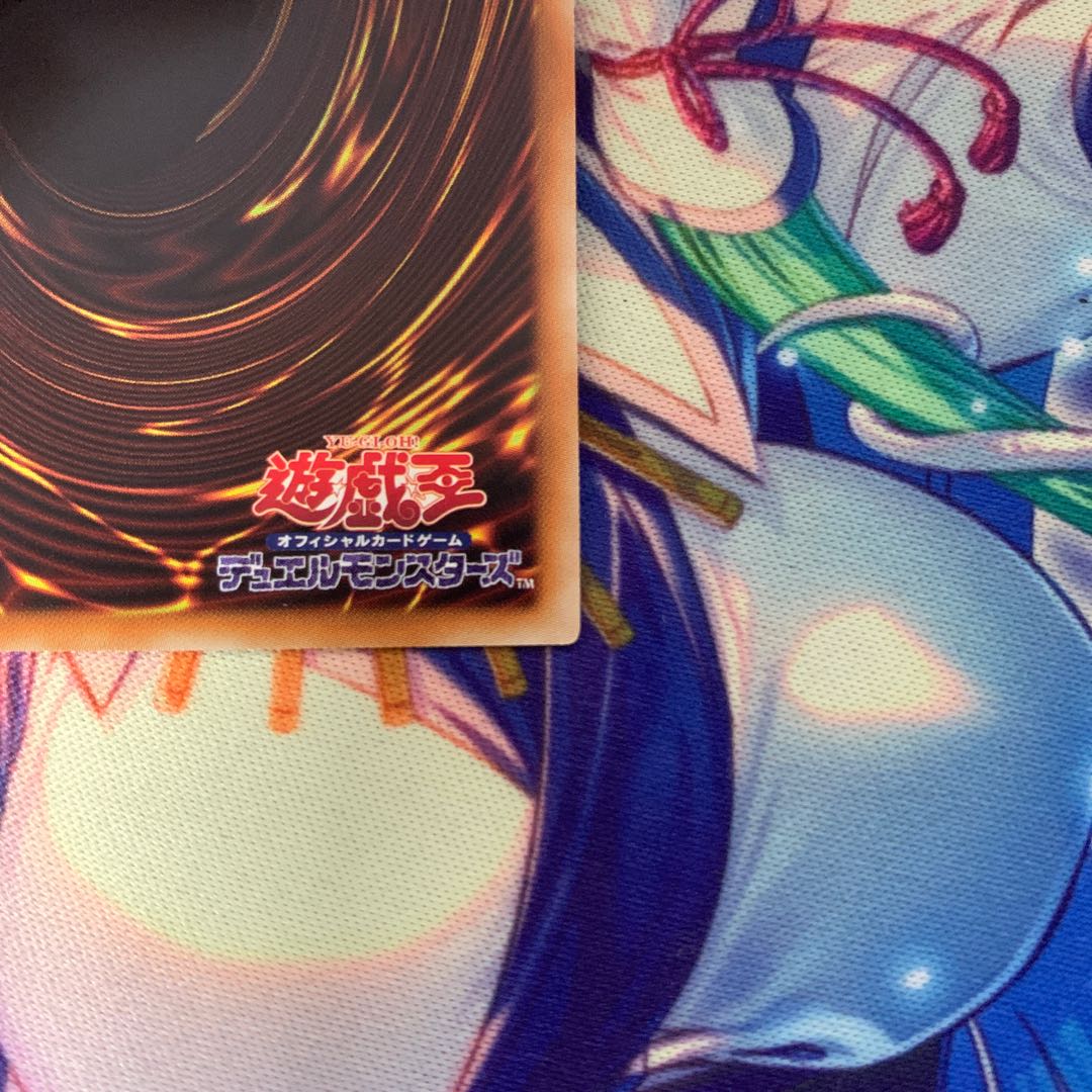 ドラゴンメイド・チェイム 20thSE