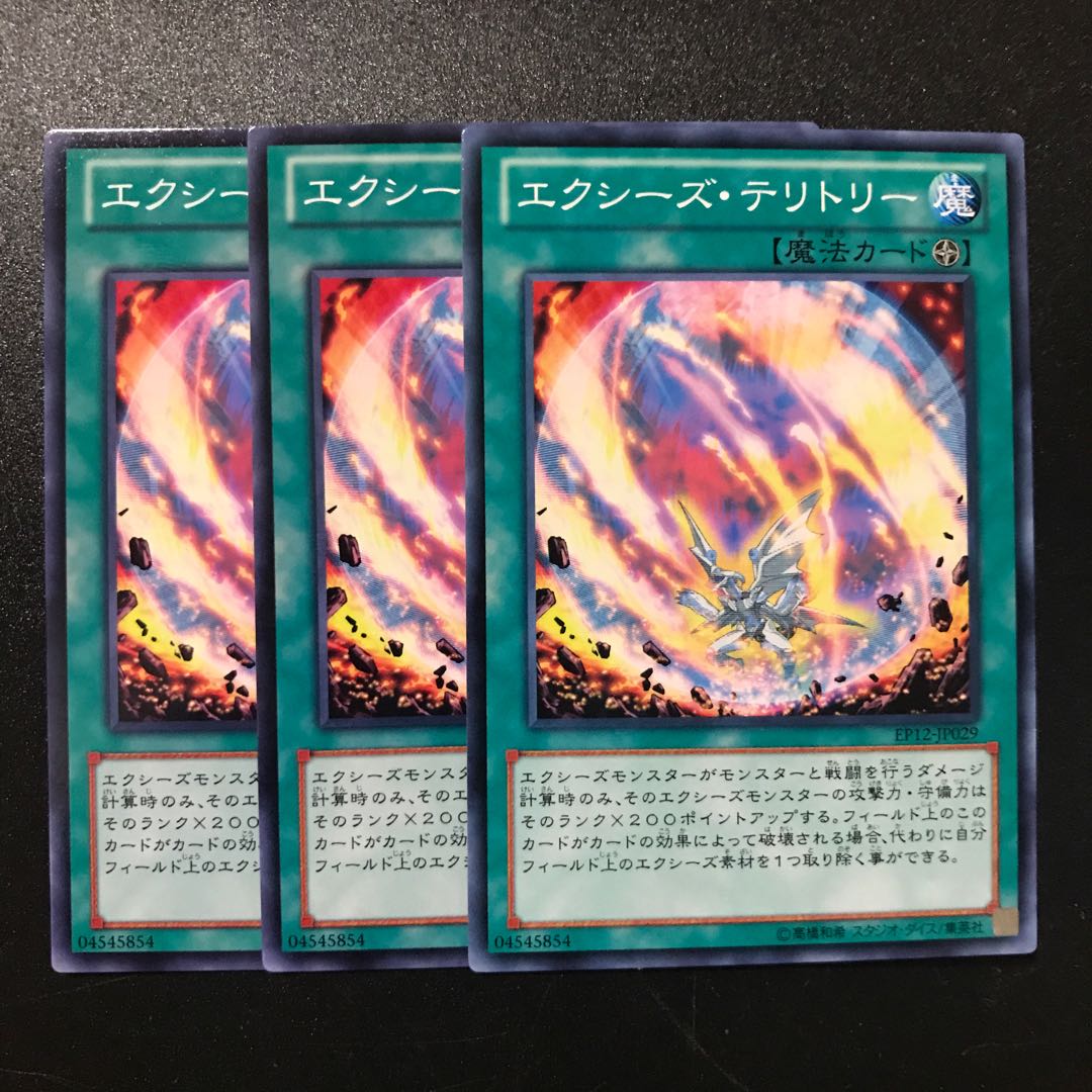 エクシーズ・テリトリー N