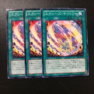 エクシーズ・テリトリー N