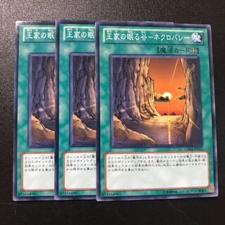 王家の眠る谷-ネクロバレー N