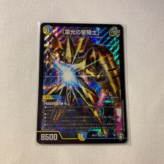 「雷光の聖騎士」