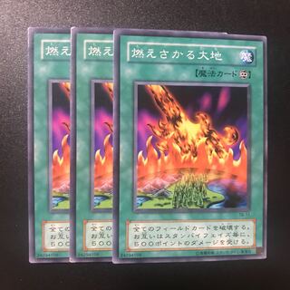 燃えさかる大地 N