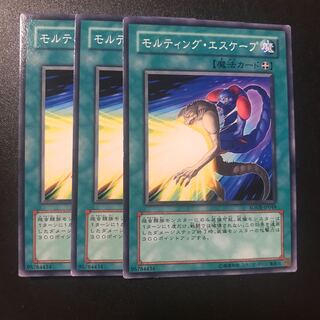 モルティング・エスケープ N