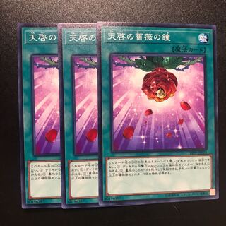 天啓の薔薇の鐘 N