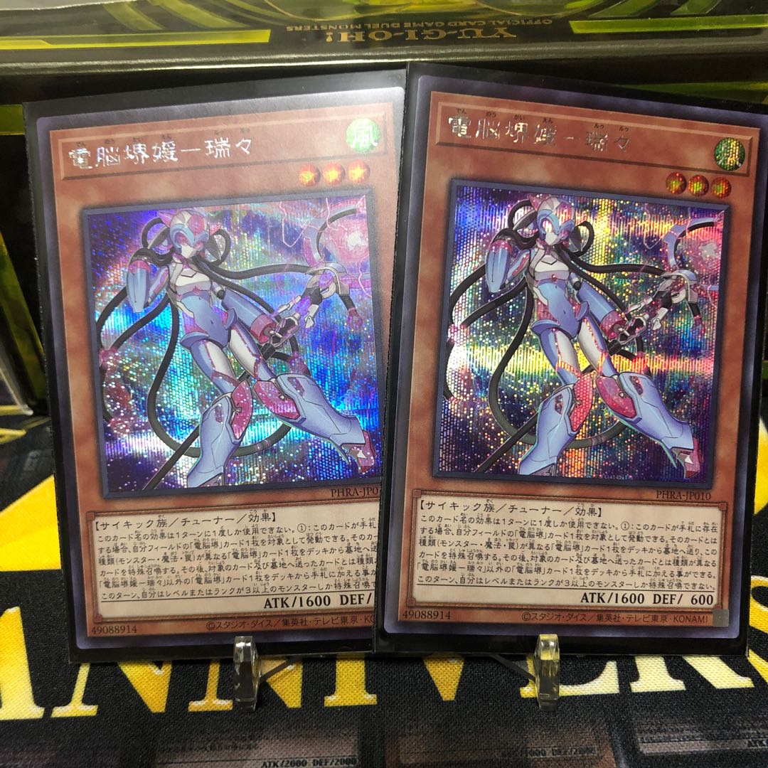 電脳堺媛-瑞々 シク2枚