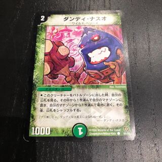 ダンディナスオ 1枚