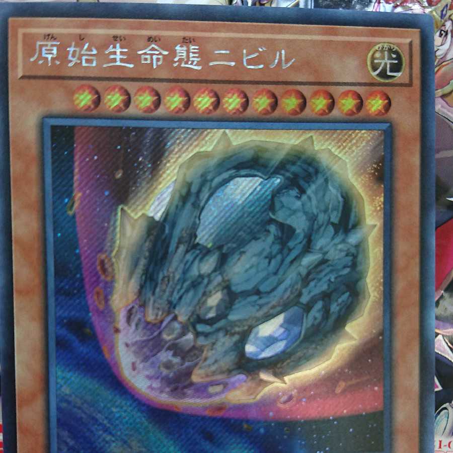 原始生命態ニビル シークレット