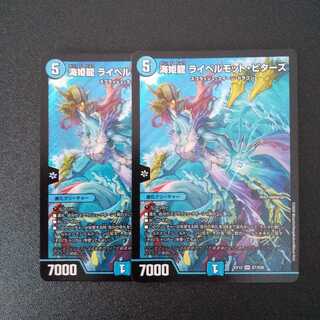 海姫龍 ライベルモット・ビターズ  2枚