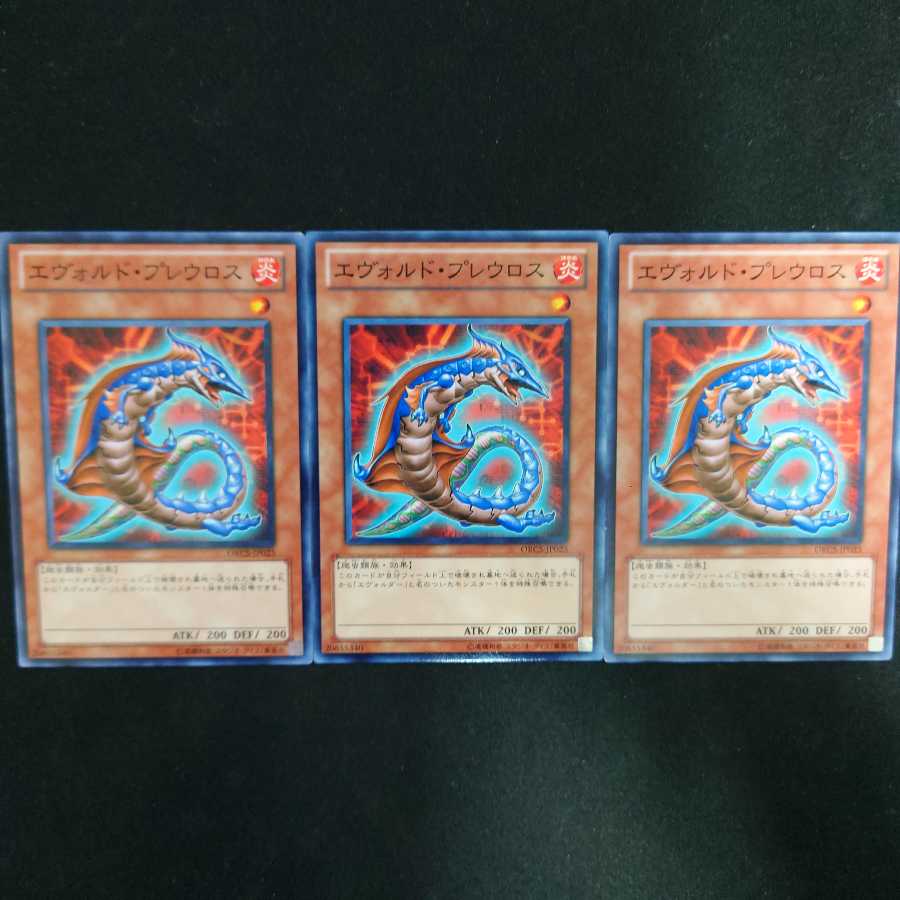 エヴォルド・プレウロス N