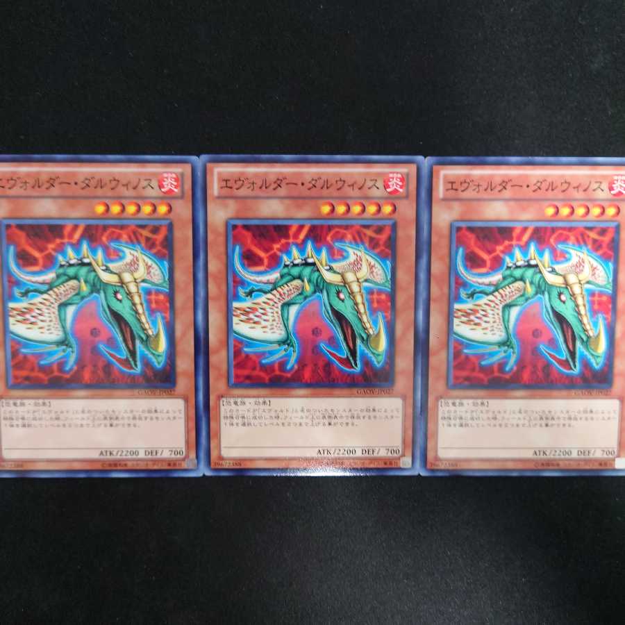 エヴォルダー・ダルウィノス N