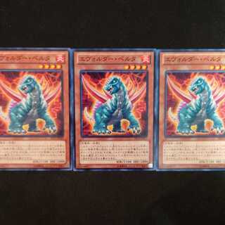 エヴォルダー・ペルタ N