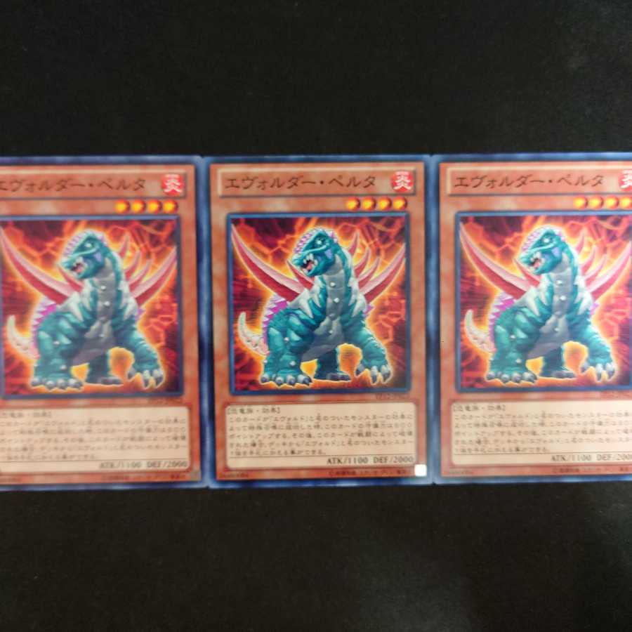 エヴォルダー・ペルタ N