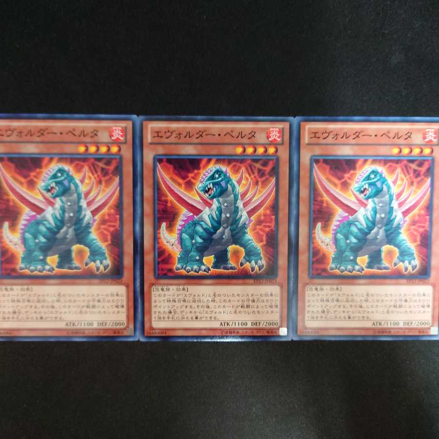 エヴォルダー・ペルタ N