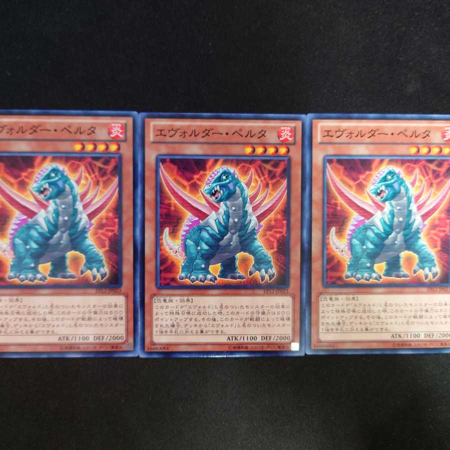 エヴォルダー・ペルタ N