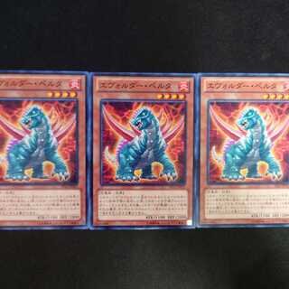 エヴォルダー・ペルタ N