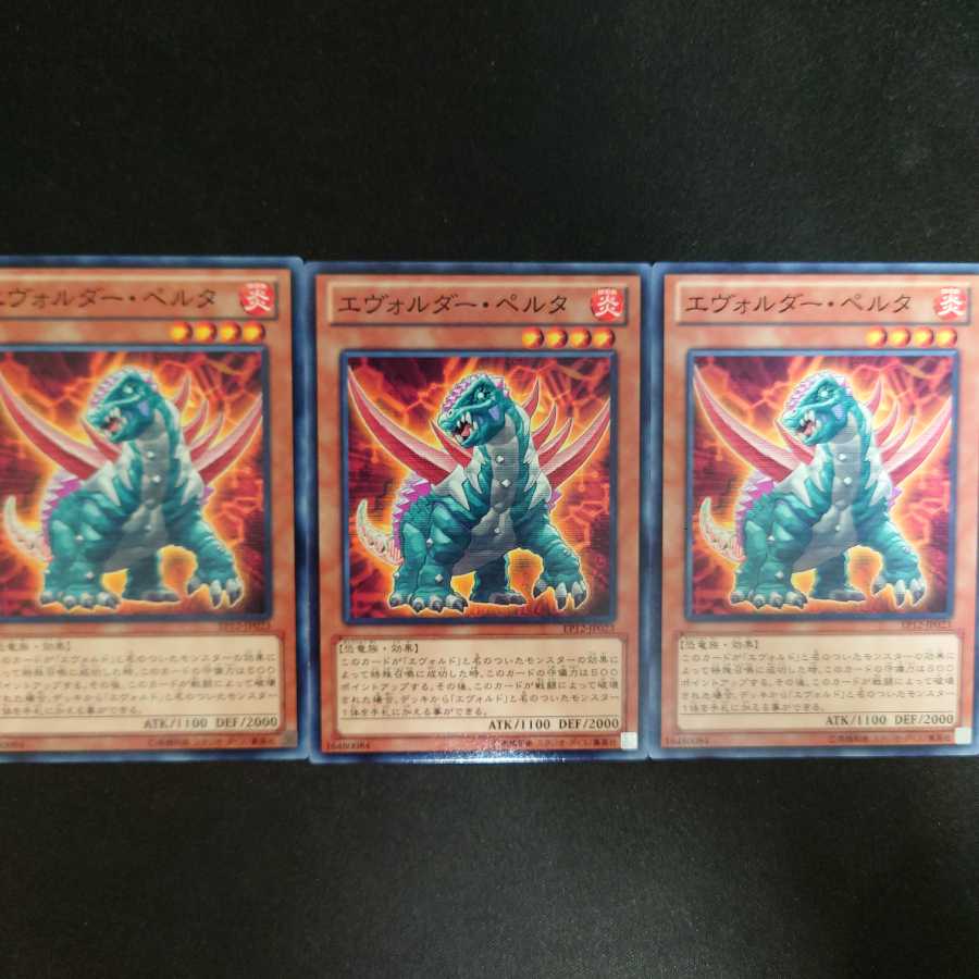 エヴォルダー・ペルタ N